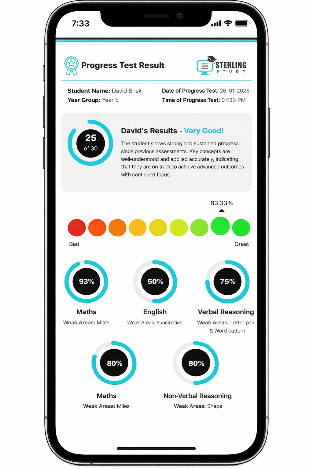 Sample monthly progress report